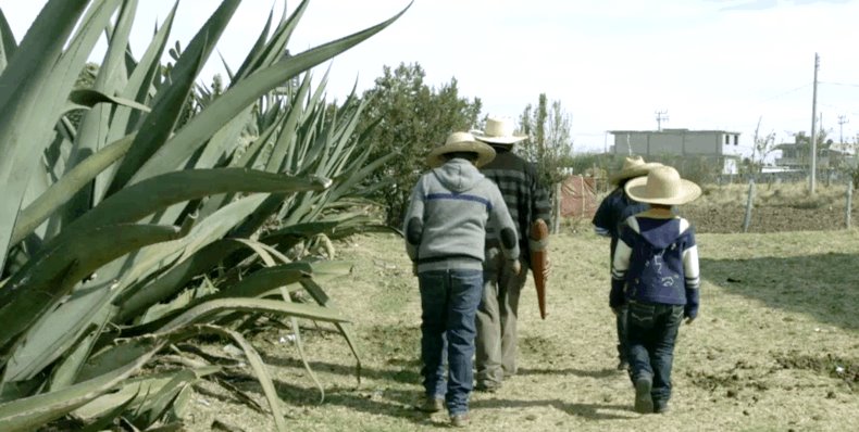 Presenta FIC Mty selección de cortometrajes ambientales Presenta FIC Mty selección de cortometrajes ambientales