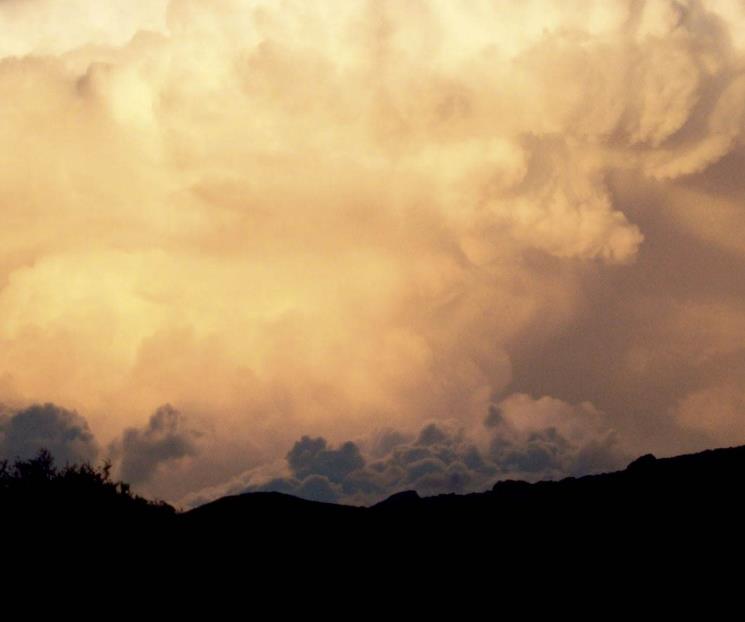 Cantos del Silencio Cantos del Silencio