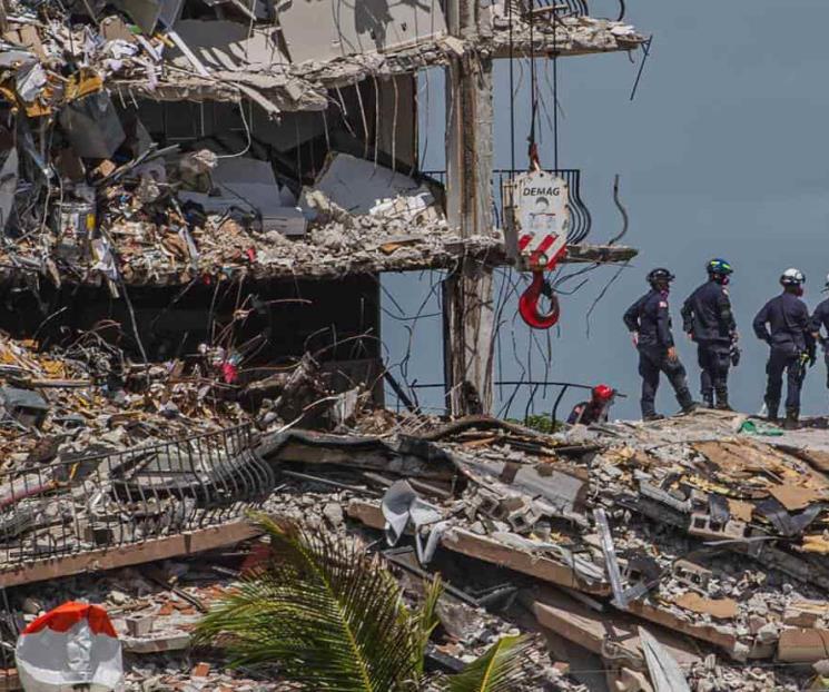 Pequeño milagro en Miami; hallan a gato desaparecido Pequeño milagro en Miami; hallan a gato desaparecido