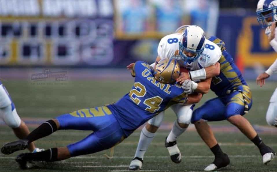 Auténticos y Borregos, ¿que se espera de ellos? Auténticos y Borregos, ¿que se espera de ellos?
