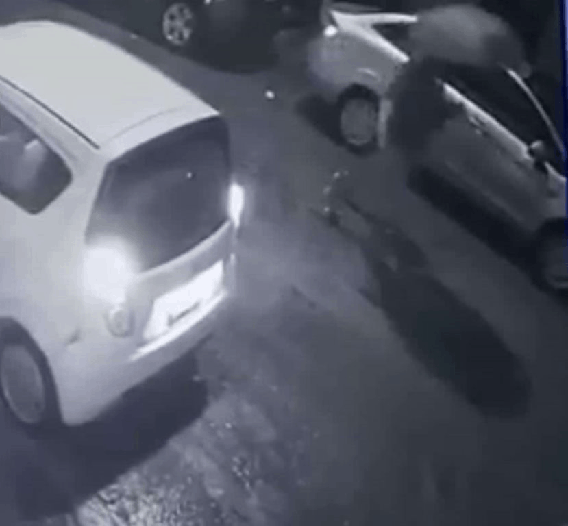 La FGJE logró obtener un video que captó a la pareja, que dejó abandonado el cuerpo de una bebita sin vida