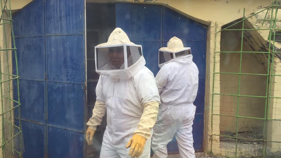 Dejan abejas grave a un anciano Dejan abejas grave a un anciano