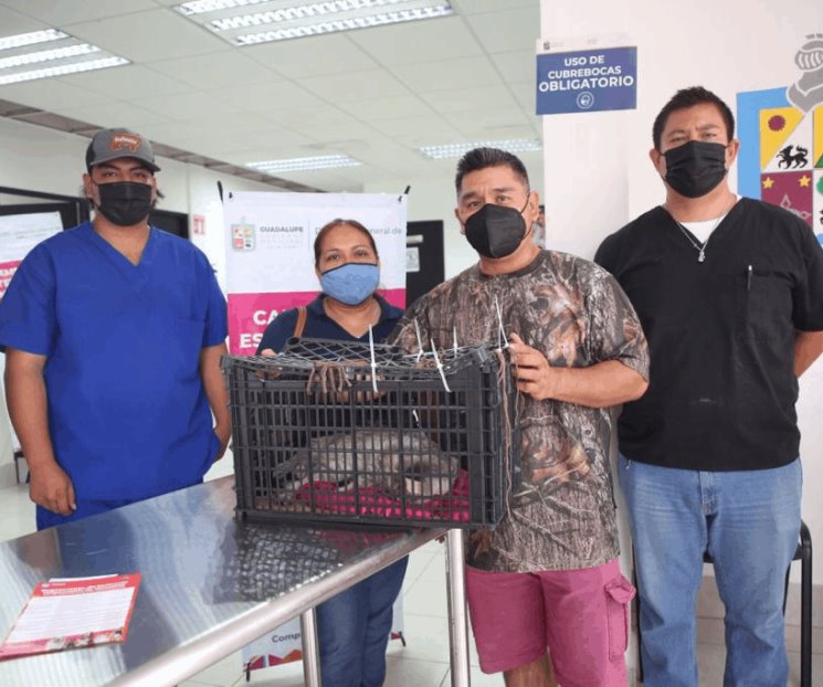 Habrá campaña permanente de esterilización en Guadalupe