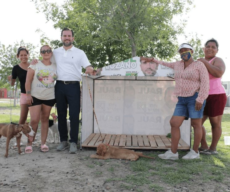 Usan propaganda electoral para crear casas para animales Usan propaganda electoral para crear casas para animales