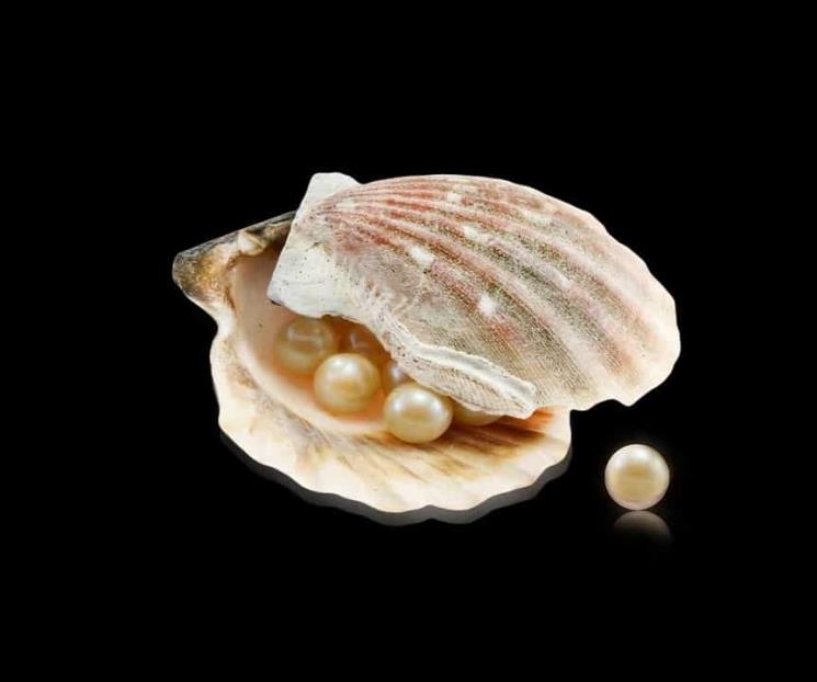 Conoce de qué están hechas las perlas Conoce de qué están hechas las perlas