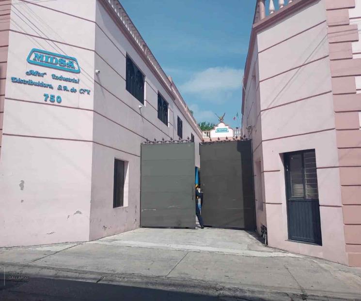 Muere al intentar rescatar a gato Muere al intentar rescatar a gato