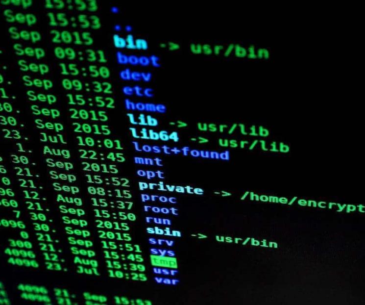 Advierten que ciberataques y delitos ambientales crecen Advierten que ciberataques y delitos ambientales crecen