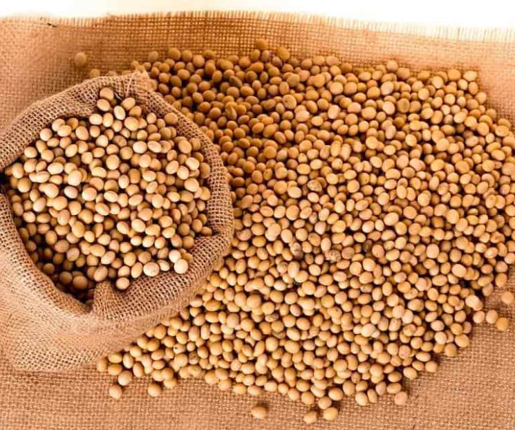 Cómo se hidrata la soya y cuánto tarda su cocción Cómo se hidrata la soya y cuánto tarda su cocción