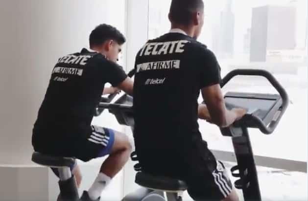 Felinos se activan previo a su juego con Austin