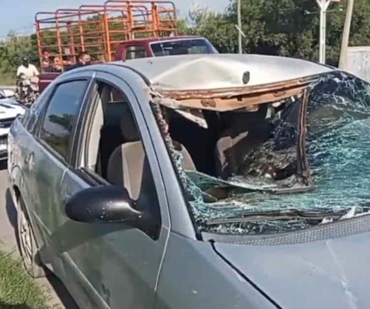 Choca caballo contra auto en Linares NL Choca caballo contra auto en Linares NL