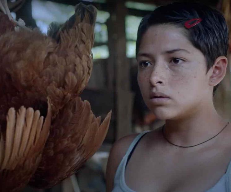 México acierta de nuevo con Noche de fuego en Cannes México acierta de nuevo con Noche de fuego en Cannes