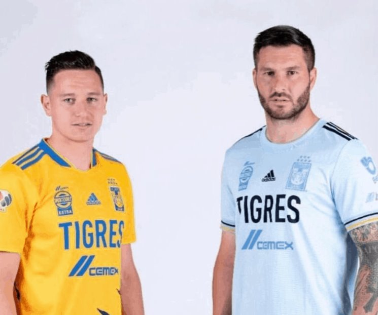 Verán galos a franceses felinos por Streaming Verán galos a franceses felinos por Streaming