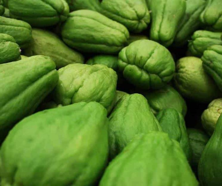 Razones para incluir chayote en tus comidas