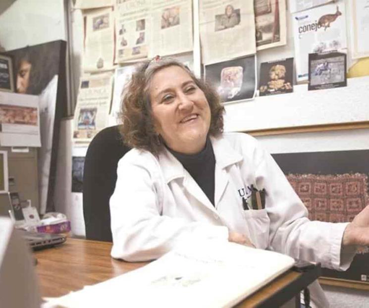 En un libro, palacios de Mesoamérica En un libro, palacios de Mesoamérica