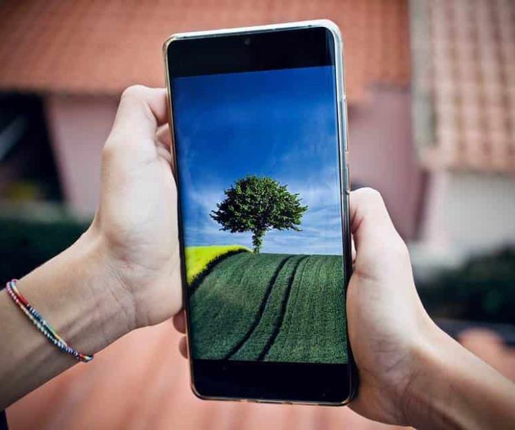 Convierte tu viejo celular en un árbol Convierte tu viejo celular en un árbol