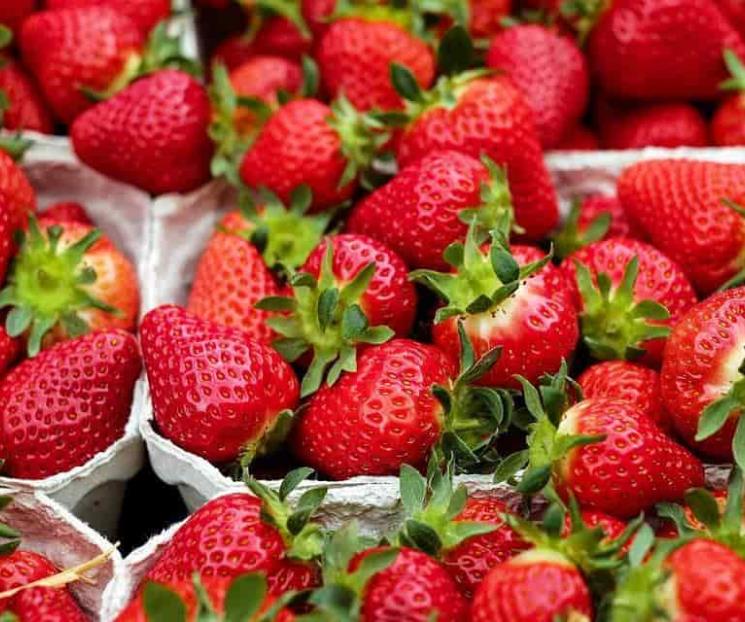 Razones para comer fresas Razones para comer fresas