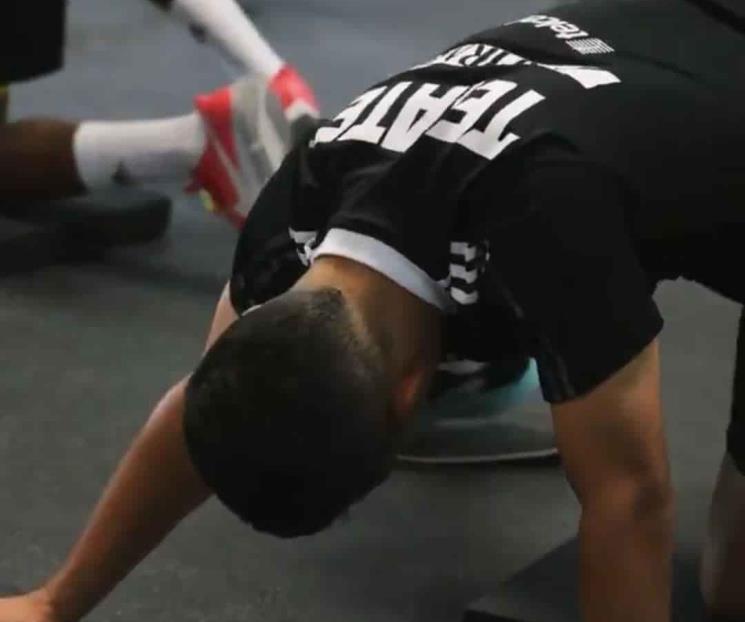 Le meten felinos al gimnasio Le meten felinos al gimnasio