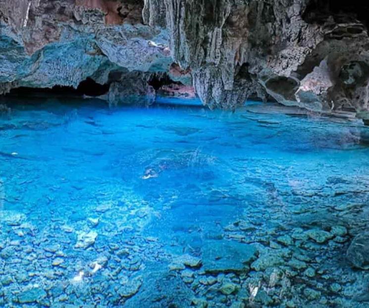 Tras años de abandono, comunidad maya rescata cenote Tras años de abandono, comunidad maya rescata cenote