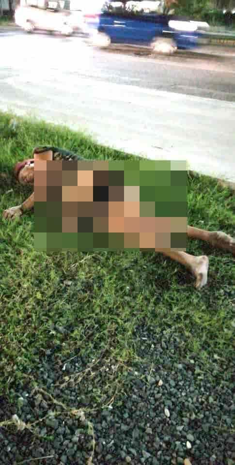 Hallan inconsciente a mujer en camellón Hallan inconsciente a mujer en camellón