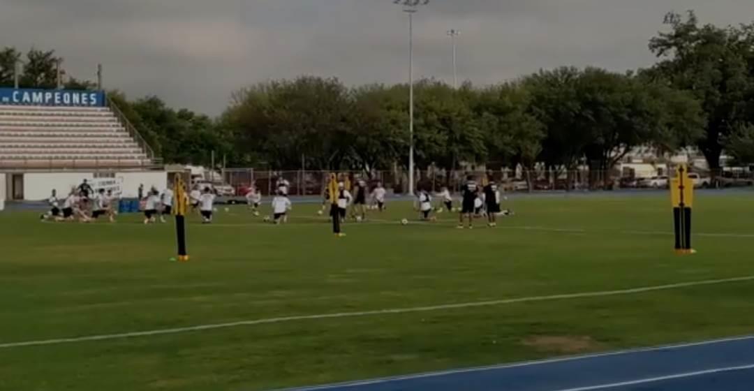 Entrenan felinos en el Cedeco Entrenan felinos en el Cedeco