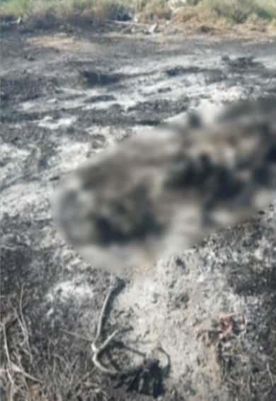 Asesinan y calcinan a mujer de la tercera edad Asesinan y calcinan a mujer de la tercera edad