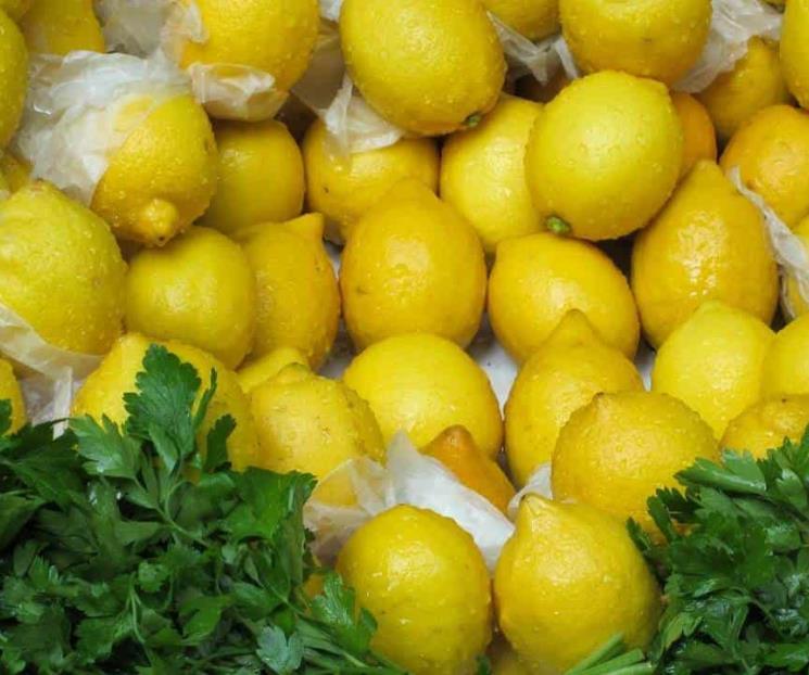 Jugo de limón, jengibre y perejil para quemar grasa Jugo de limón, jengibre y perejil para quemar grasa