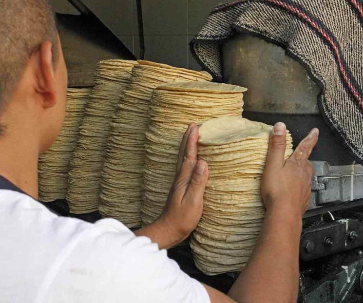 Precio de tortillas sube 13.5% en primera quincena de julio Precio de tortillas sube 13.5% en primera quincena de julio