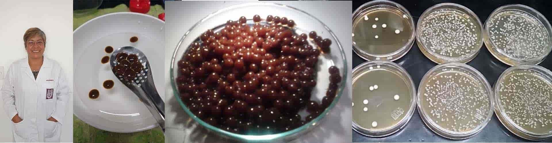 Elaboran encapsulados de café enriquecidos con probióticos