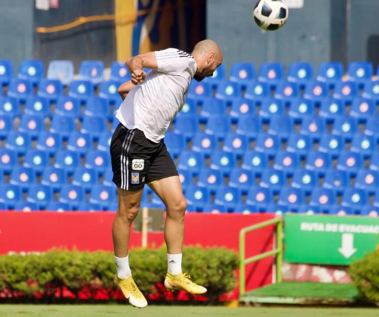 Afina Tigres Punteria Afina Tigres Punteria