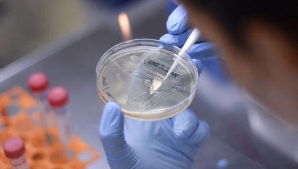 Delta: carga viral mil veces mayor a otras mutaciones Covid Delta: carga viral mil veces mayor a otras mutaciones Covid