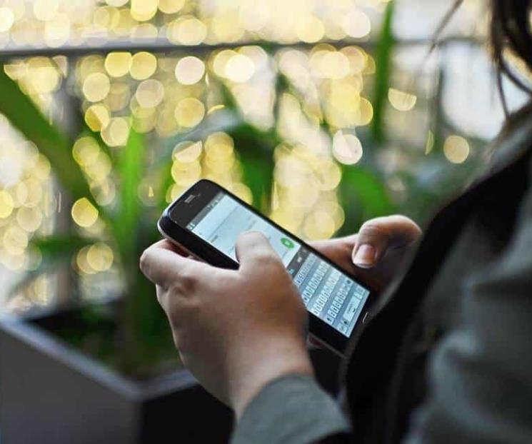 Inai recomienda proteger información de celulares Inai recomienda proteger información de celulares