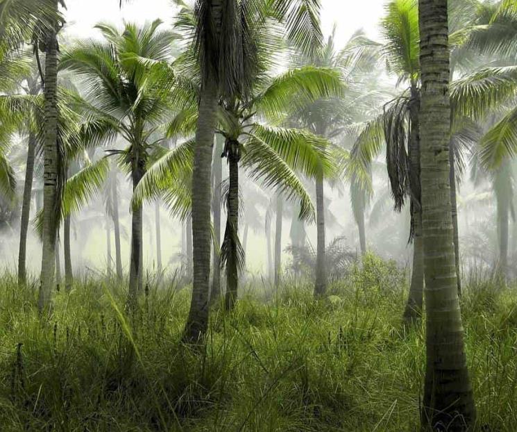 BDAN alista foro ambiental tras cancelarlo por Covid