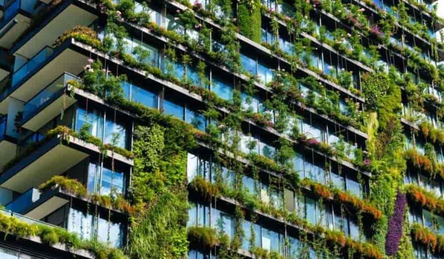Piden expertos armonía entre desarrollo urbano y ecosistema Piden expertos armonía entre desarrollo urbano y ecosistema