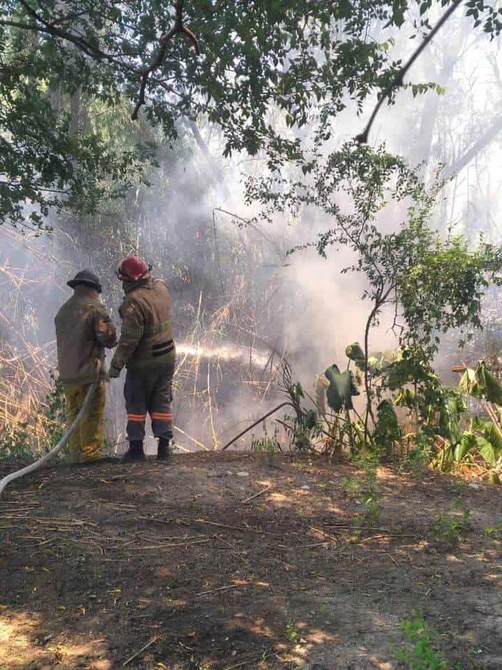 Ocasionan niños incendio forestal Ocasionan niños incendio forestal