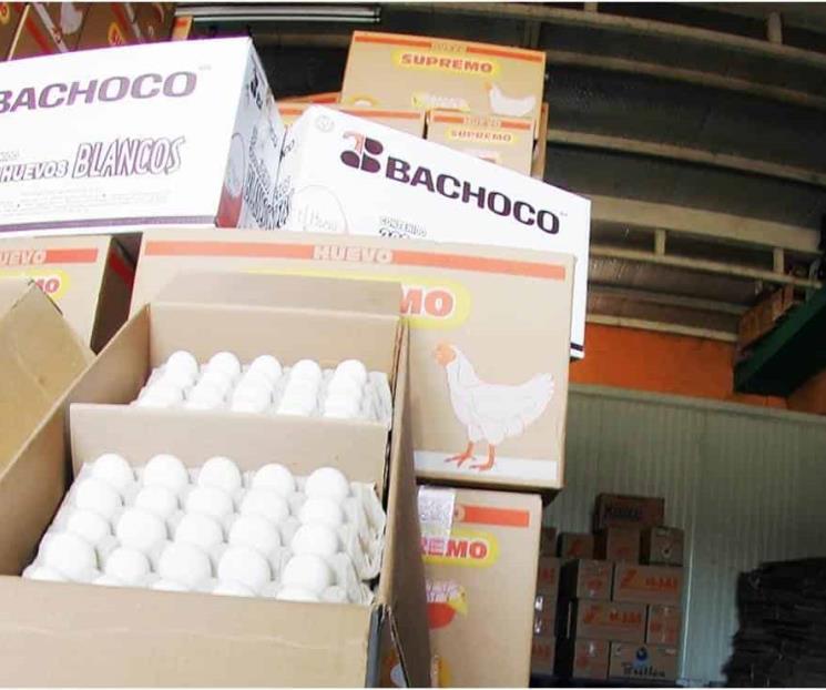 Repunte de precios huevo y pollo impulsan ventas de Bachoco Repunte de precios huevo y pollo impulsan ventas de Bachoco