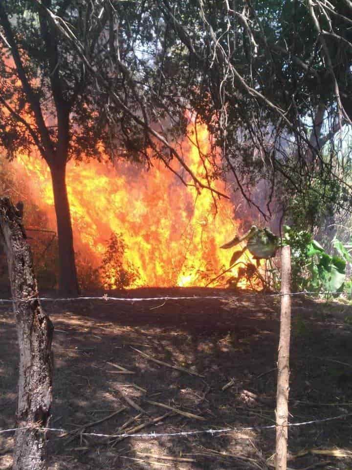 Dos niños que jugaban a los exploradores, causaron un incendio forestal