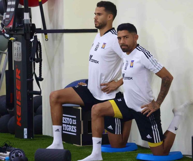 Vuelven felinos a prácticas