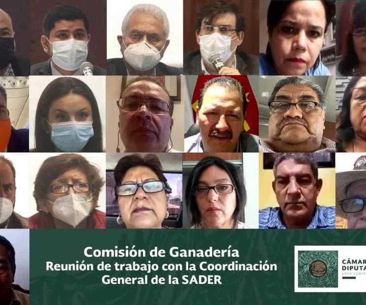 Comisión de Ganadería conoce Plan de Trabajo de Cordinación
