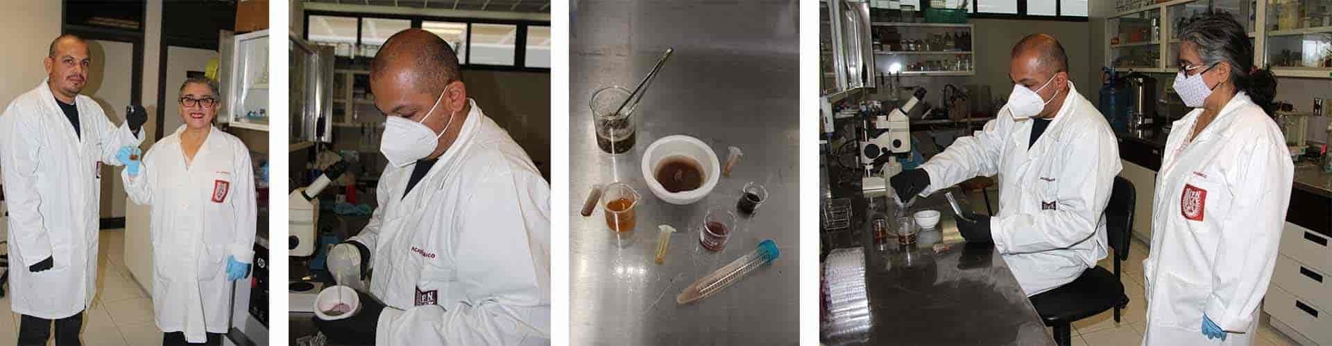 Papa morada previene afecciones cardiovasculares Papa morada previene afecciones cardiovasculares