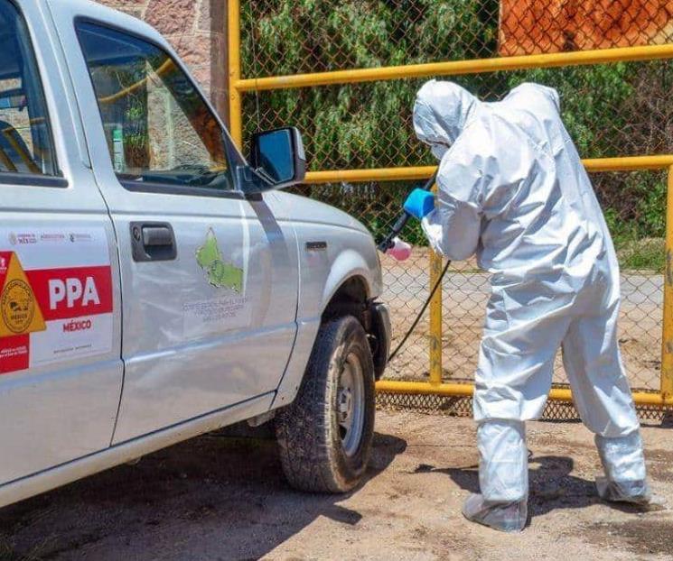 México refuerza medidas de sanidad ante peste porcina México refuerza medidas de sanidad ante peste porcina