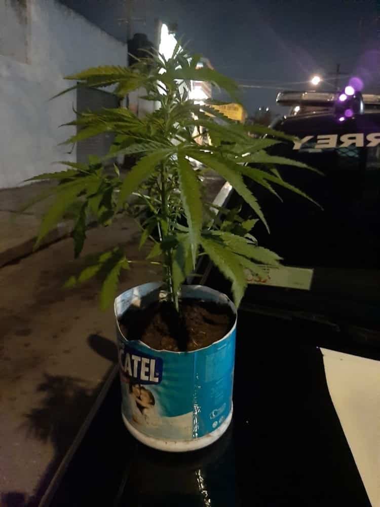 imagen-cuerpo imagen-cuerpo