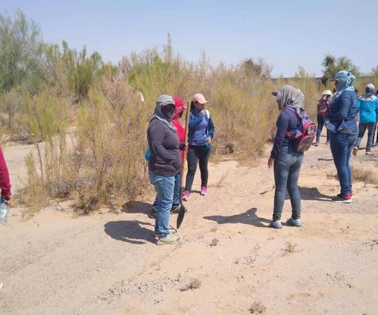 Cambian vidas de madres por buscar a hijos desaparecidos