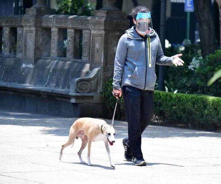 Edomex sube penas por maltrato animal