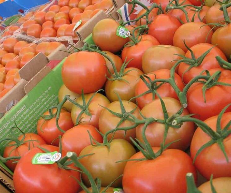 No cometas estos errores al elegir jitomates No cometas estos errores al elegir jitomates