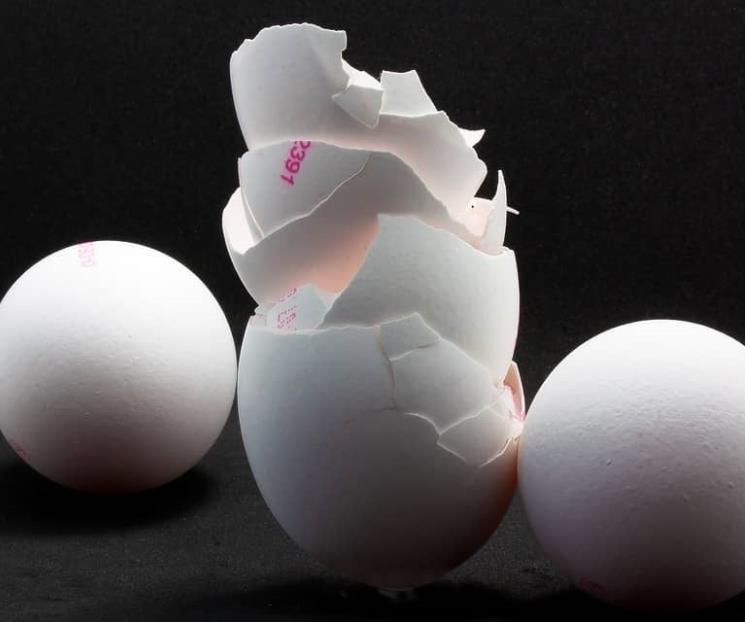 Conoce los beneficios que tiene la cáscara de huevo