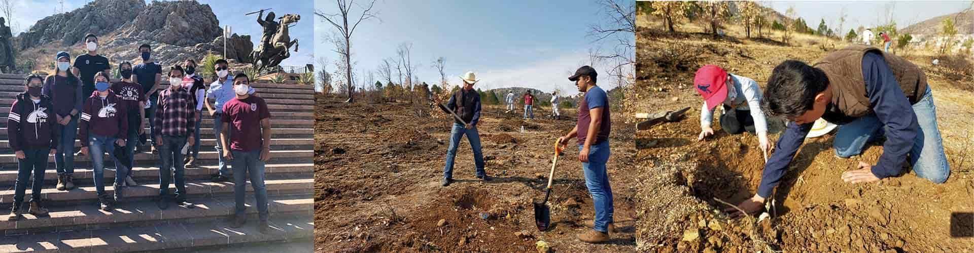 Politécnico emprende rescate ecológico del Cerro de la Bufa