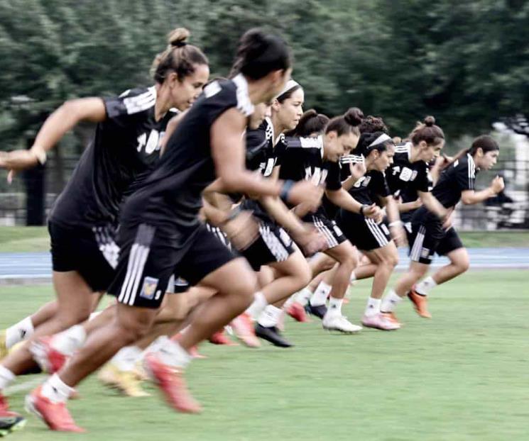 Tendrán felinas un duelo de alto calibre