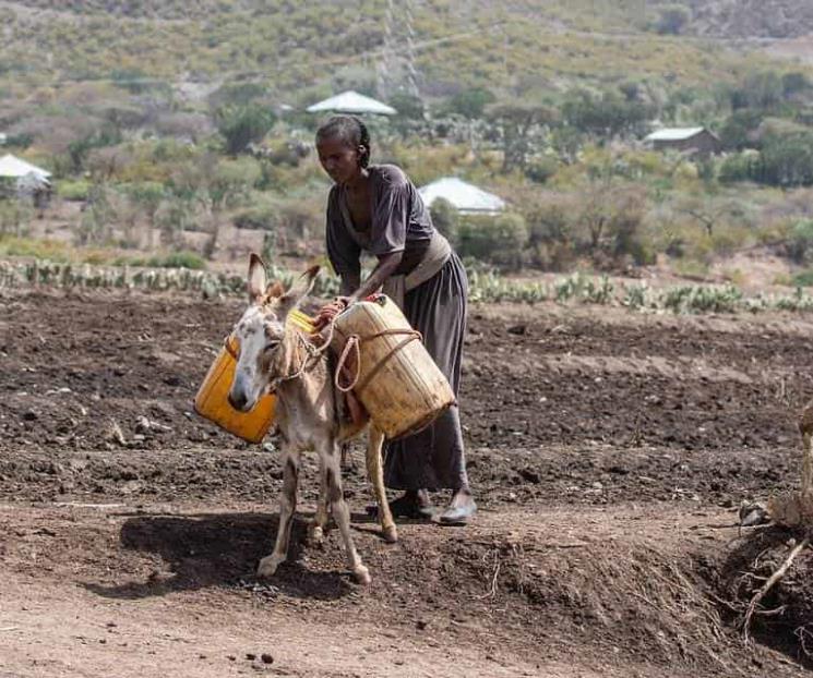 Lucha contra el hambre, en riesgo: UNCTAD