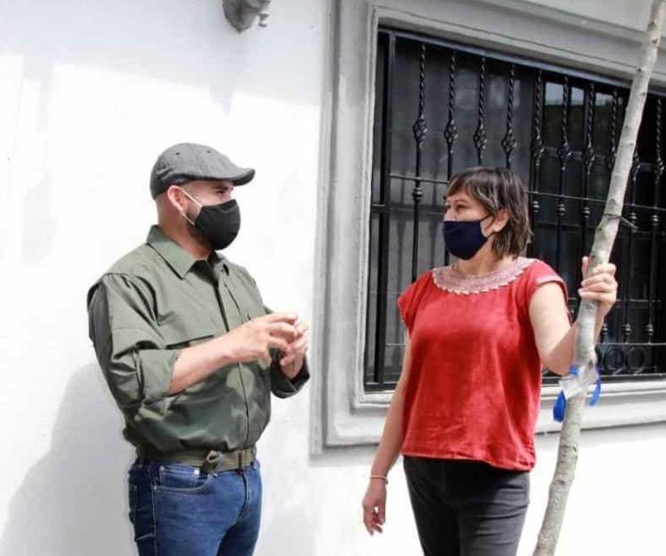 Invita Santa Catarina a reforestar desde sus casas