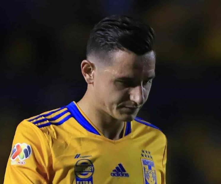 Empiezan felinos trajín previo a Seattle y Puebla